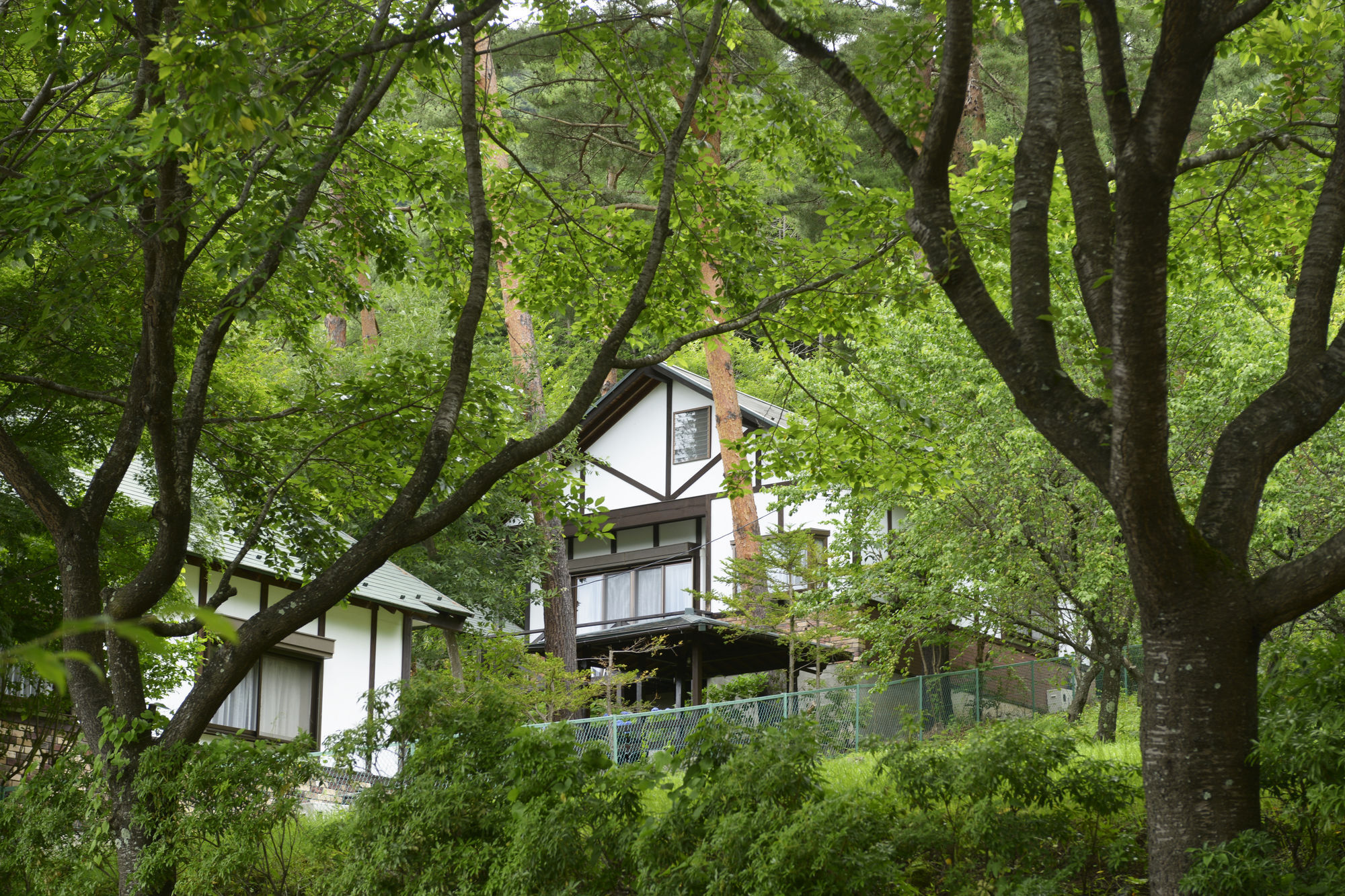 פוג'יקאוואגוצ'יקו Kawaguchiko Country Cottage Ban מראה חיצוני תמונה