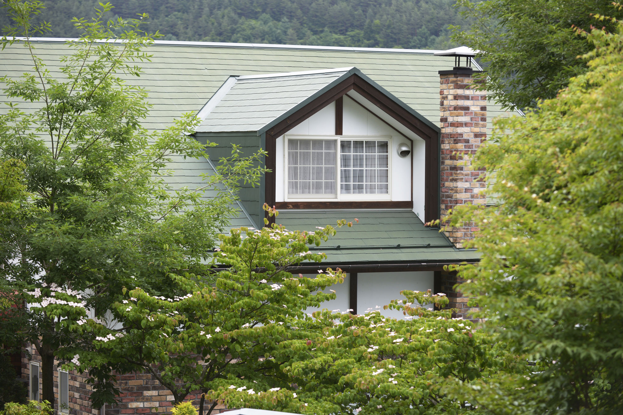 פוג'יקאוואגוצ'יקו Kawaguchiko Country Cottage Ban מראה חיצוני תמונה